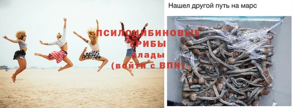гидропоника Абинск