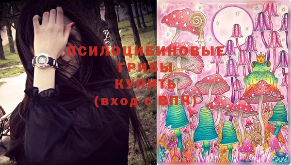 гидропоника Абинск